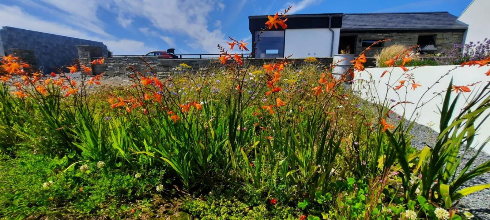 Rose Meadow Lodge ลิสกานเนอร์ ภายนอก รูปภาพ